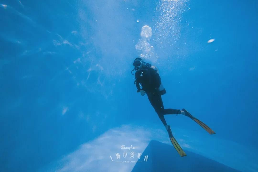 厉害了我的巧虎7