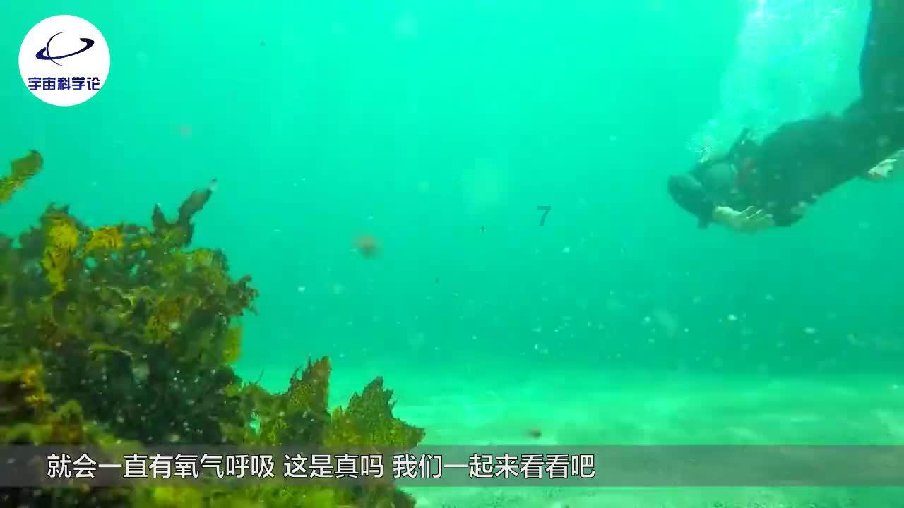 媒体人:韦世豪肯定是搏命的那张牌,但感觉最终进球的还是武磊